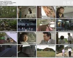 黃金神犬百里破案
