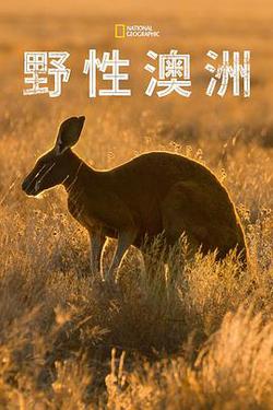 野性澳大利亞