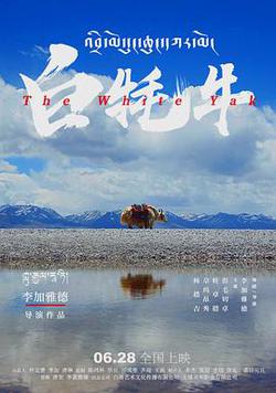 白氂牛