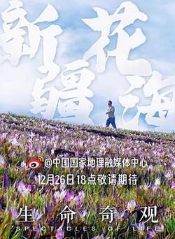 生命奇觀