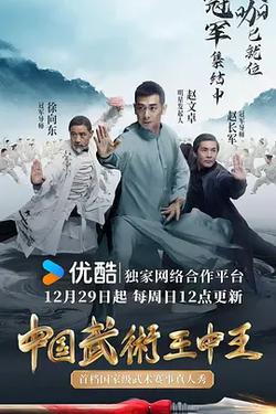 中國武術王中王