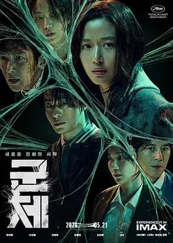 群體