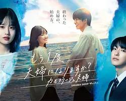 要再做一次夫婦嗎？～偽裝夫婦～