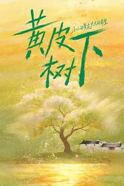 黃皮樹下