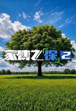 家傳之“保”2