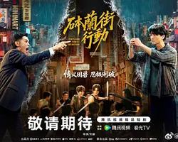 砵蘭街行動