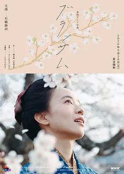 花朵盛開