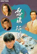 怒海孤鴻