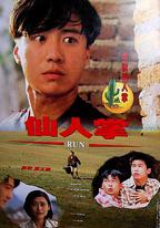 仙人掌