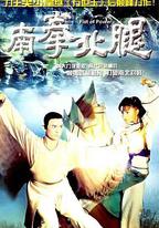 南拳北腿