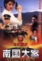 南國大案