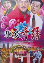 摯愛奇緣