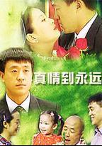 真情到永遠
