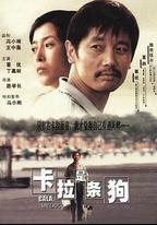 卡拉是條狗