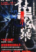 打黑風暴