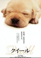 導盲犬小Q