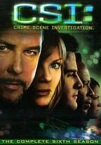 犯罪現場調查 第六季