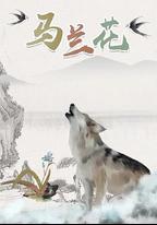 馬蘭花