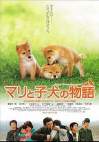 愛犬的奇跡