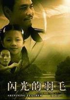 閃光的羽毛