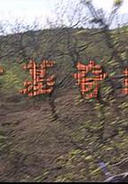 古墓奇緣