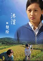 淋濕的翅膀