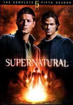 邪惡力量  第五季