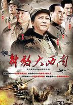 解放大西南