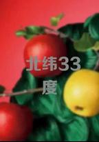 北緯33度