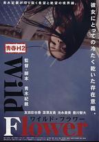 青春H2之狂野之花