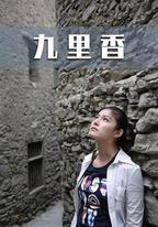 九里香