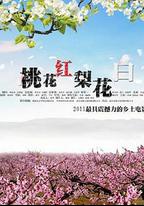 桃花紅 梨花白