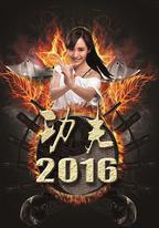 功夫2016