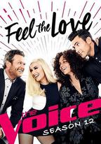 美國之聲 第十二季