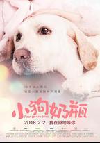 小狗奶瓶