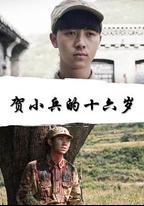 賀小兵的十六歲