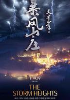 天才少年之暴風山莊