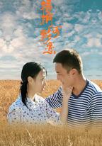 梧桐河衫戀