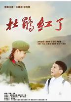 杜鵑紅了