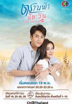 直到天空迎來太陽