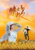 情定秋收