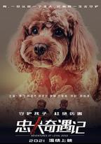 忠犬奇遇記