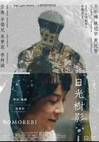 日光樹影