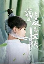 我的女友是女俠