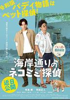 海岸大街上的貓咪偵探