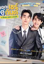 我的親親老板寶貝