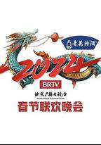 2024年北京電視台龍年春節聯歡晚會