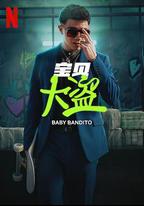 寶貝大盜