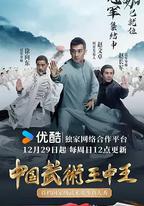 中國武術王中王