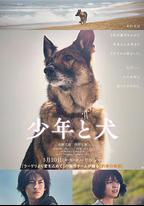 少年與犬